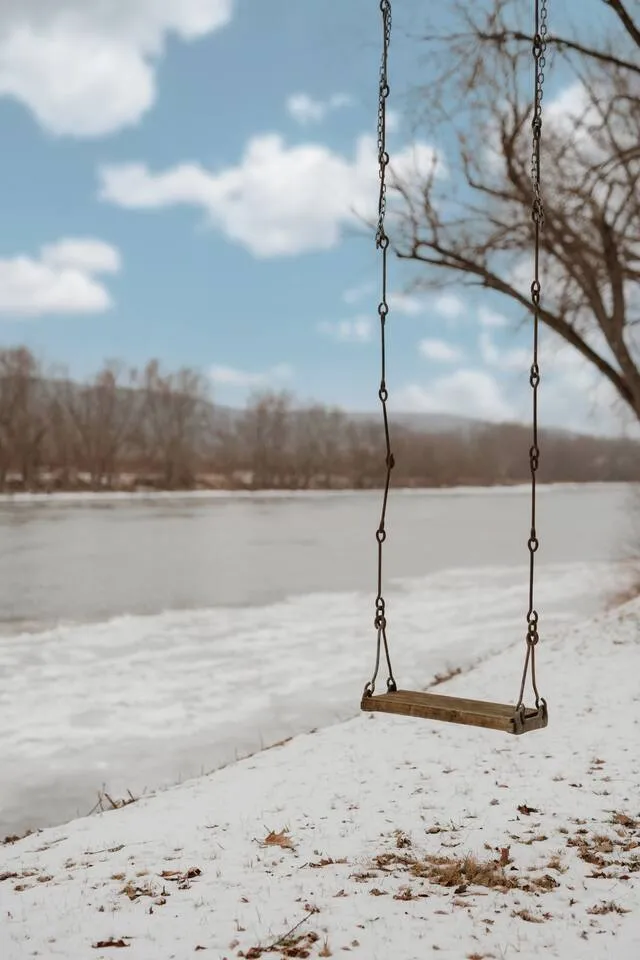 Vestal River Retreat — photo 12